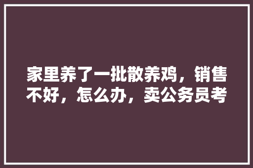 家里养了一批散养鸡，销售不好，怎么办，卖公务员考试答案