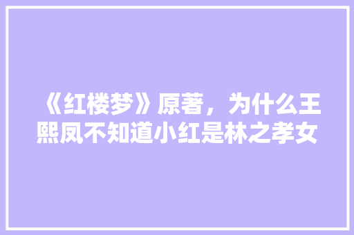 《红楼梦》原著，为什么王熙凤不知道小红是林之孝女儿，李纨却知道，说明什么，广东公务员考试题小红书答案 公考知识