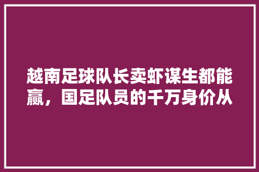 越南足球队长卖虾谋生都能赢，国足队员的千万身价从何而来，公务员考试足球题目 教育科普