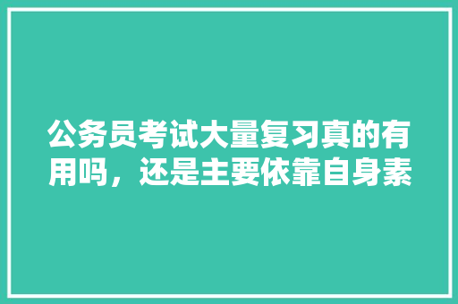 公务员考试大量复习真的有用吗，还是主要依靠自身素质，公务员考试题看图题 大学排名