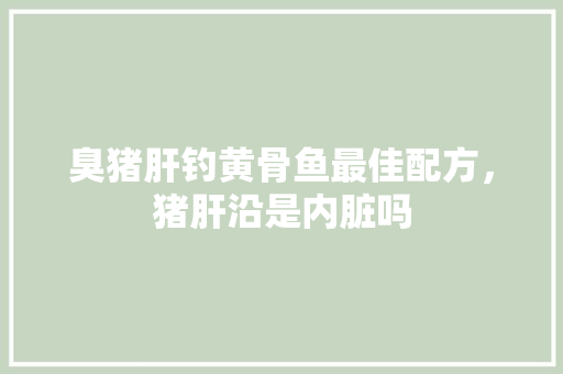 臭猪肝钓黄骨鱼最佳配方，猪肝沿是内脏吗 教育科普