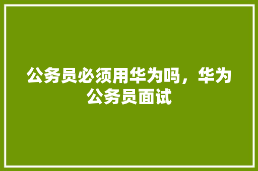 公务员必须用华为吗，华为公务员面试