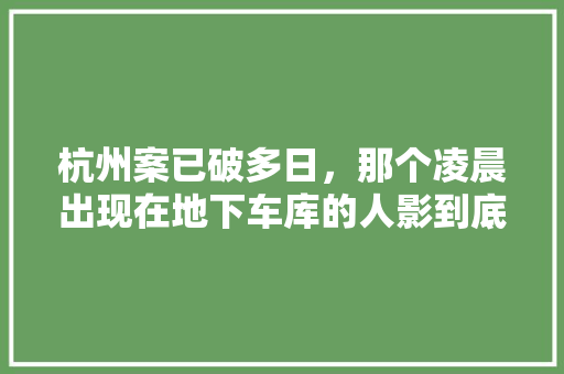杭州案已破多日，那个凌晨出现在地下车库的人影到底是不是同伙，半只烤鸭是什么意思 公考知识
