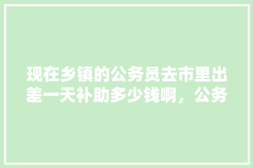 现在乡镇的公务员去市里出差一天补助多少钱啊，公务员考试时间题目 教育科普