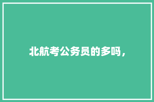 北航考公务员的多吗，