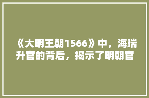 《大明王朝1566》中，海瑞升官的背后，揭示了明朝官场怎样的潜规则，江山公务员考试题目 公考知识