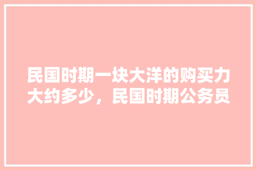 民国时期一块大洋的购买力大约多少，民国时期公务员考试 大学排名