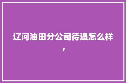 辽河油田分公司待遇怎么样， 大学排名