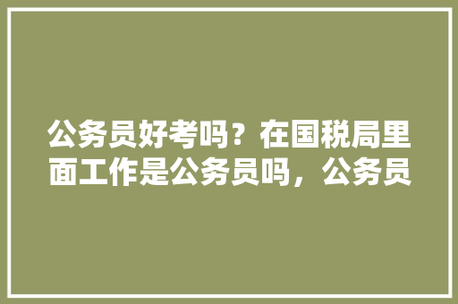 公务员好考吗？在国税局里面工作是公务员吗，公务员国税考试题及答案 专业填报