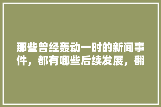 那些曾经轰动一时的新闻事件，都有哪些后续发展，翻译推理公务员考试题及答案 教育科普