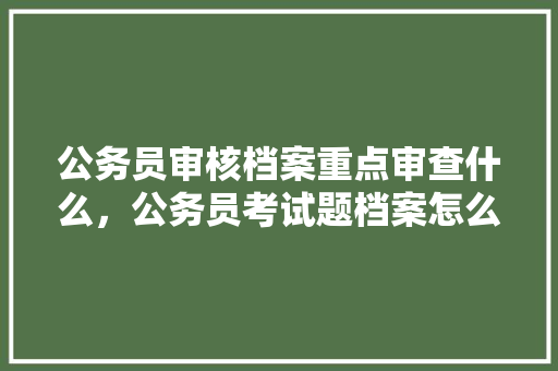 公务员审核档案重点审查什么，公务员考试题档案怎么查 大学排名