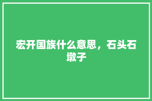 宏开国族什么意思，石头石墩子 教育科普