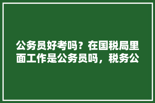 公务员好考吗？在国税局里面工作是公务员吗，税务公务员招聘考试题库 教育科普