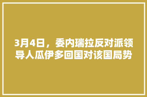 3月4日，委内瑞拉反对派领导人瓜伊多回国对该国局势有何影响，公务员考试荷兰:日本 公考知识