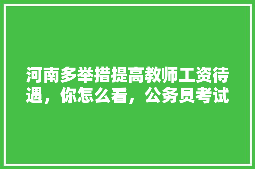 河南多举措提高教师工资待遇，你怎么看，公务员考试样题 建筑考试