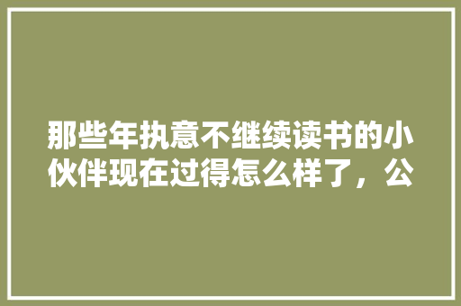 那些年执意不继续读书的小伙伴现在过得怎么样了，公务员考试小刀 公考知识