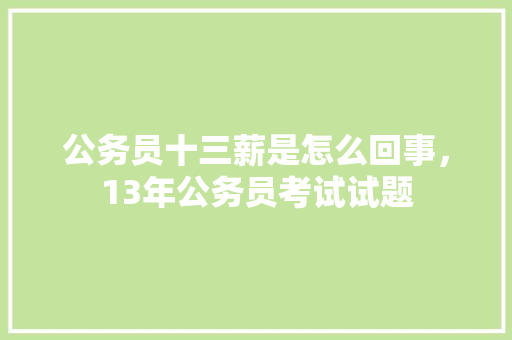 公务员十三薪是怎么回事，13年公务员考试试题