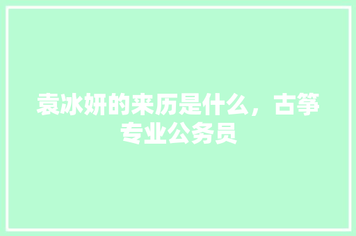 袁冰妍的来历是什么，古筝专业公务员