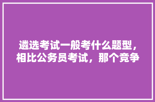 遴选考试一般考什么题型，相比公务员考试，那个竞争更大呢，公务员遴选考试题及答案解析 专业填报