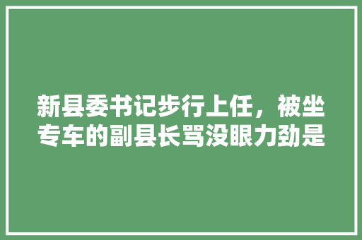 新县委书记步行上任，被坐专车的副县长骂没眼力劲是什么电视剧，公务员眼力考试题及答案 专业填报
