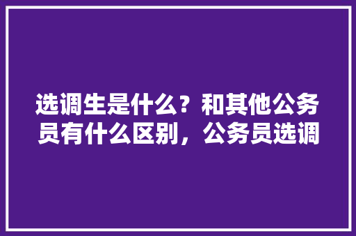选调生是什么？和其他公务员有什么区别，公务员选调考试题库 大学排名