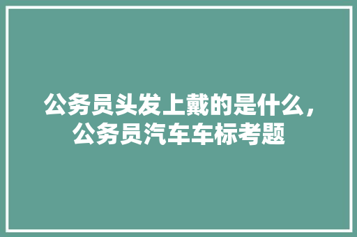 公务员头发上戴的是什么，公务员汽车车标考题 教育科普