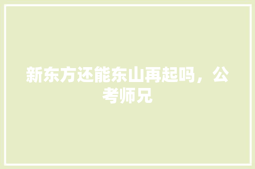 新东方还能东山再起吗，公考师兄 专业填报