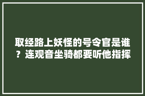 取经路上妖怪的号令官是谁？连观音坐骑都要听他指挥，公务员考试唐僧