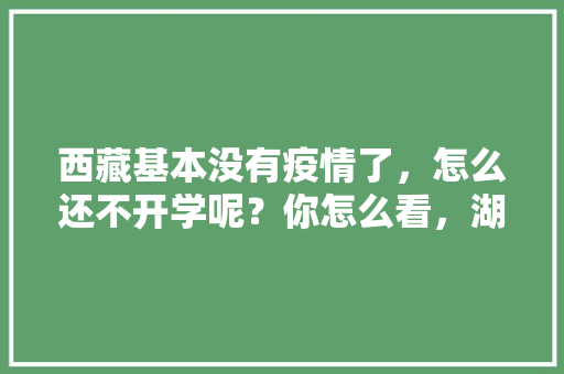 西藏基本没有疫情了，怎么还不开学呢？你怎么看，湖北随州公务员考试题目及答案 建筑考试