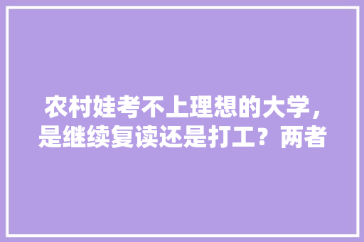 农村娃考不上理想的大学，是继续复读还是打工？两者之间应如何处理，公务员考试预测试题