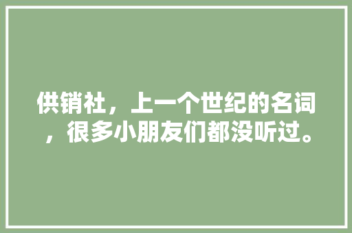 供销社，上一个世纪的名词，很多小朋友们都没听过。你怎么看，行测火柴棒
