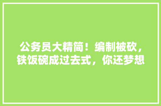 公务员大精简！编制被砍，铁饭碗成过去式，你还梦想进编吗，3000道公务员考试题及答案 公务员大精简！编制被砍，铁饭碗成过去式，你还梦想进编吗，3000道公务员考试题及答案 教育科普