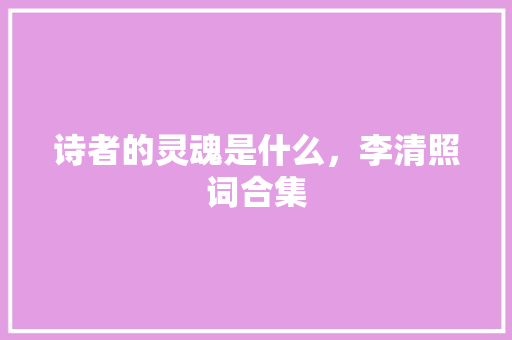 诗者的灵魂是什么，李清照词合集 教育科普