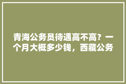 青海公务员待遇高不高？一个月大概多少钱，西藏公务员题量