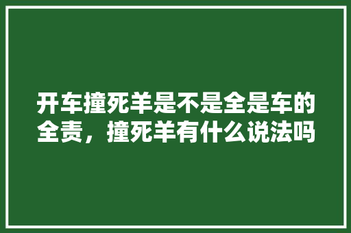 开车撞死羊是不是全是车的全责，撞死羊有什么说法吗 教育科普