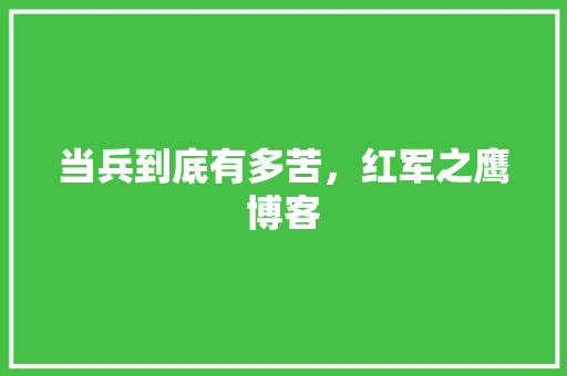 当兵到底有多苦，红军之鹰博客 大学排名