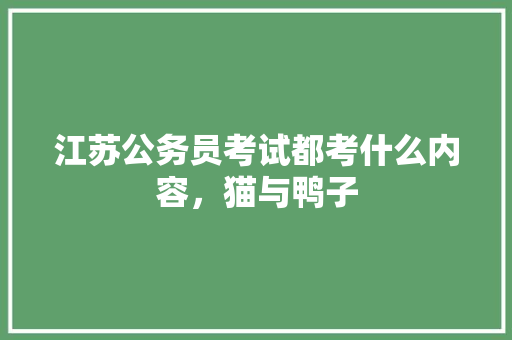 江苏公务员考试都考什么内容，猫与鸭子 大学排名
