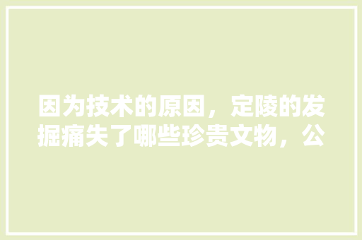 因为技术的原因，定陵的发掘痛失了哪些珍贵文物，公务员考试题156611