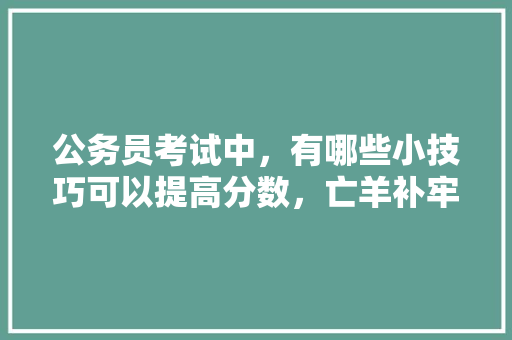 公务员考试中，有哪些小技巧可以提高分数，亡羊补牢类比推理 专业填报