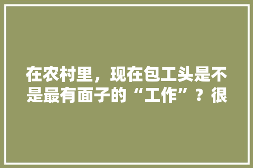在农村里，现在包工头是不是最有面子的“工作”？很多人都要找他帮忙，黑心公务员考试题目及答案 大学排名
