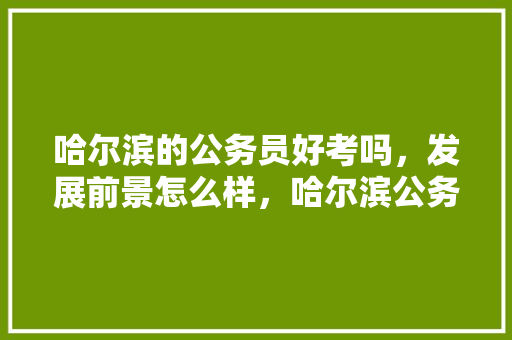 哈尔滨的公务员好考吗，发展前景怎么样，哈尔滨公务员考试题目 教育科普