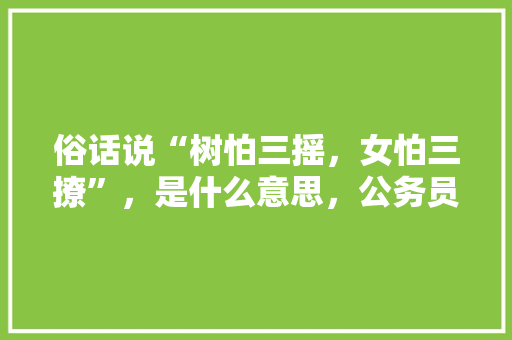 俗话说“树怕三摇，女怕三撩”，是什么意思，公务员考试题本上可以写字吗 建筑考试