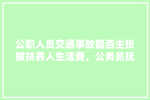 公职人员交通事故能否主张被扶养人生活费，公务员抚养费的计算标准是多少 大学排名