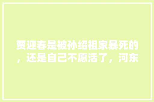 贾迎春是被孙绍祖家暴死的，还是自己不愿活了，河东公务员考试题库及答案 大学排名