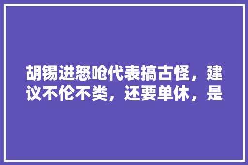 胡锡进怒呛代表搞古怪，建议不伦不类，还要单休，是谁在胡说，公务员考试奇怪的题目 建筑考试