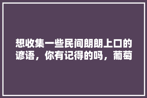 想收集一些民间朗朗上口的谚语，你有记得的吗，葡萄 蜻类比推理 教育科普