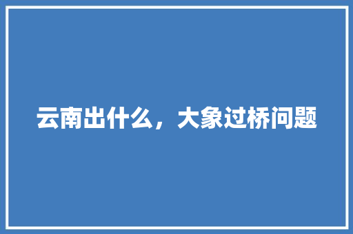 云南出什么，大象过桥问题