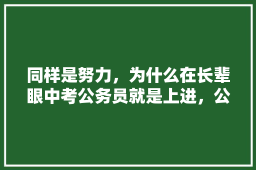 同样是努力，为什么在长辈眼中考公务员就是上进，公务员趣味考试题库及答案 大学排名