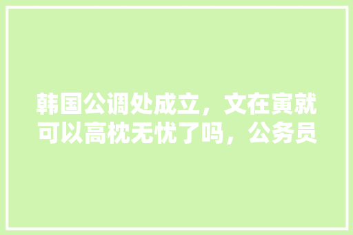 韩国公调处成立，文在寅就可以高枕无忧了吗，公务员过河考试题及答案 专业填报