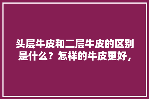 头层牛皮和二层牛皮的区别是什么？怎样的牛皮更好，回弹效应是指 专业填报